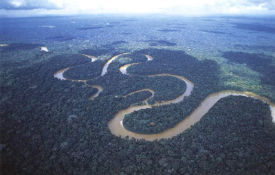 Amazonas