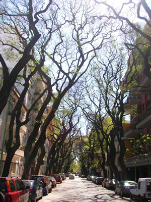  Barrio de Palermo, desde la calle Jorge Luis Borges