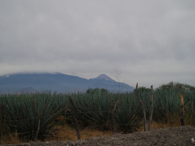 Valle de Comala